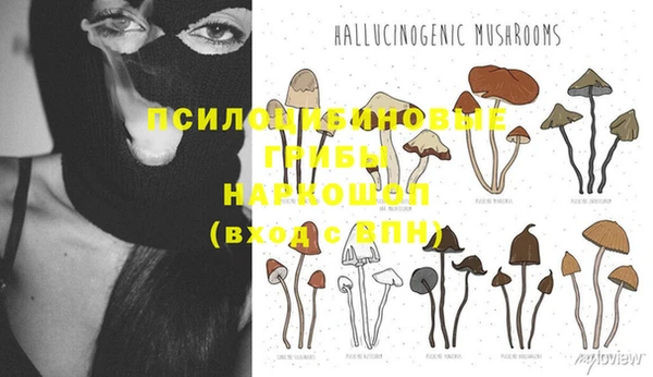 ГАЛЛЮЦИНОГЕННЫЕ ГРИБЫ Алапаевск