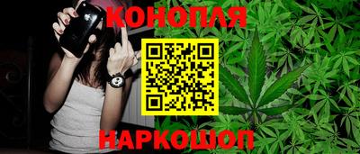 сатива Кунгур