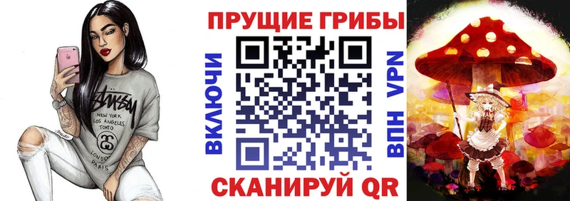 Псилоцибиновые грибы Psilocybe  Балтийск 