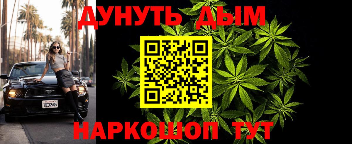 Каннабис OG Kush  Канабис конопля  Балтийск  Каннабис план 
